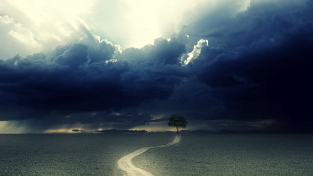 Lone tree field cloudy sky #33 free wallpaper - medium preview image