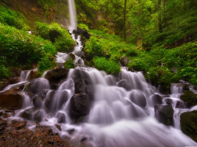 Waterfall forest rocks trees stream #4 free wallpaper - medium preview image