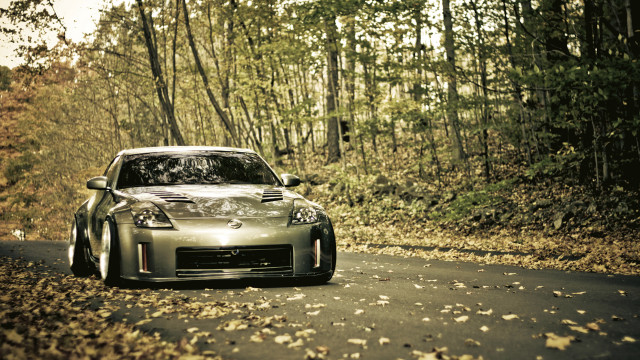 Car woods leaves tiltshift glossy free wallpaper - medium preview image
