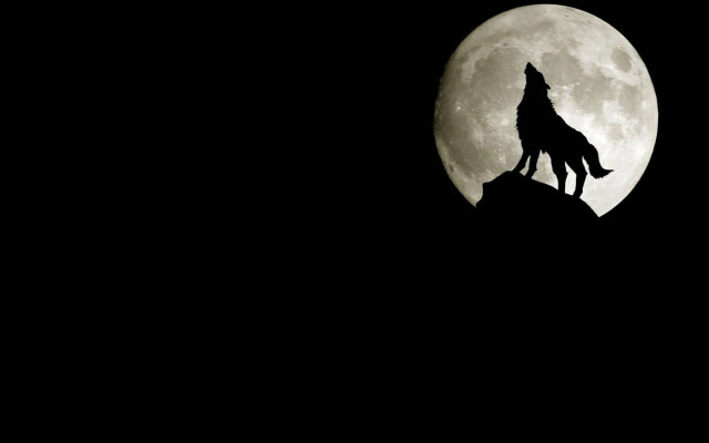 Wolf hill fullmoon gothic illustration free wallpaper - medium preview image