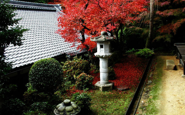 Garden pagoda red leaves bench free wallpaper - medium preview image