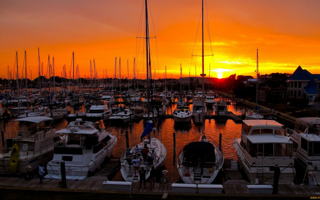 Marina sunset boats cityscape bridge free wallpaper - medium preview image