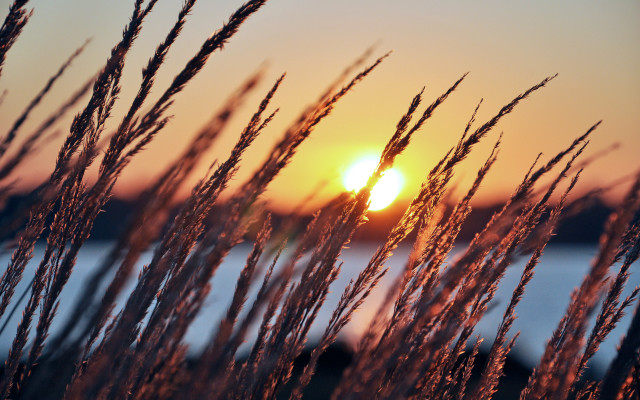 Sunset grass water clouds dusk free wallpaper - medium preview image