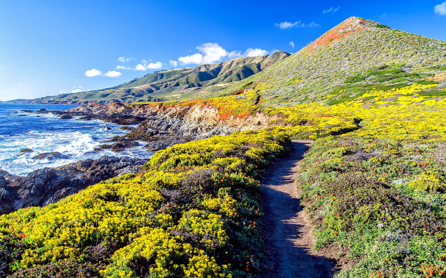 Coastal trail mountain flower sky free wallpaper - medium preview image
