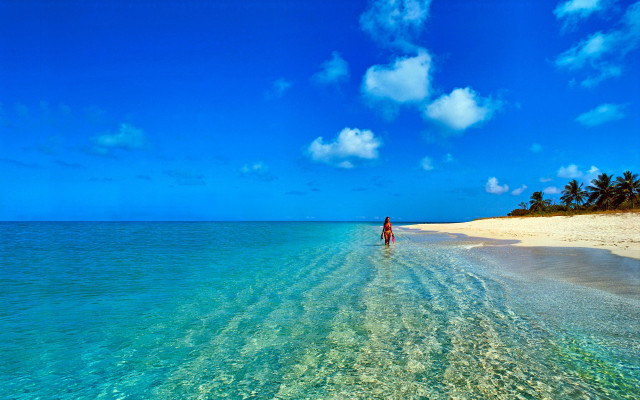 Beach ocean palm trees boat free wallpaper - medium preview image