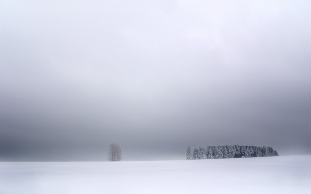 Snowy field trees cloudy sky #2 free wallpaper - medium preview image