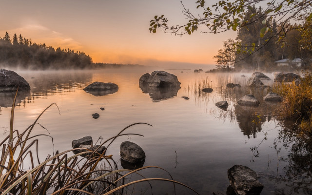 Lake rocks water fog trees free wallpaper - medium preview image