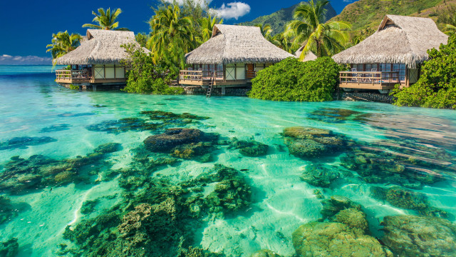 Tropical resort lagoon overwater beds #2 free wallpaper - medium preview image