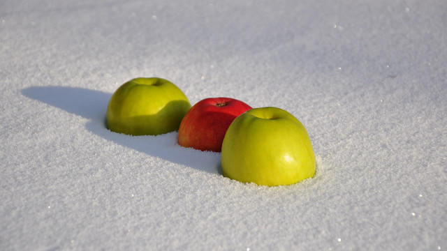 Apples in snow shadow photorealistic free wallpaper - medium preview image