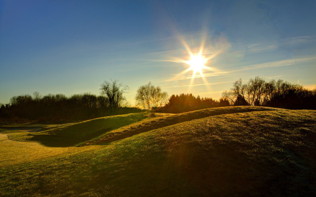 Sunshine grassy hill trees blue free wallpaper - medium preview image