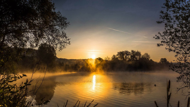 Lake sunset fog trees impasto free wallpaper - medium preview image