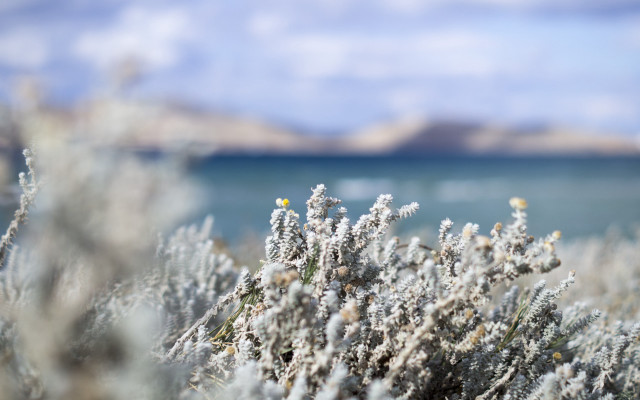 Plant water sky clouds mountain free wallpaper - medium preview image