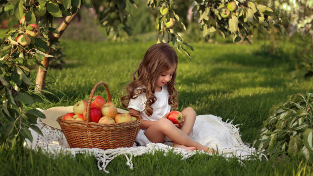 Little girl basket of apples free wallpaper - medium preview image