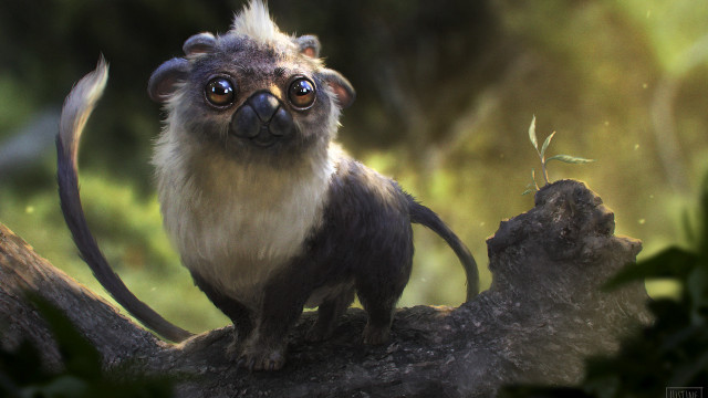 Monkey tree branch blue eyes free wallpaper - medium preview image