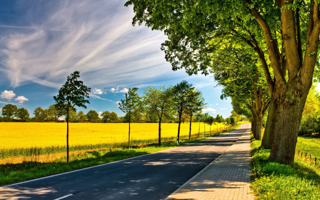 Road trees field blue sky free wallpaper - medium preview image
