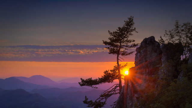 Sunset mountain tree bright sun free wallpaper - medium preview image
