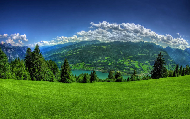 Green field trees mountains lake #4 free wallpaper - medium preview image