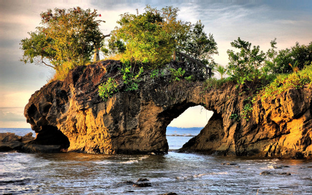 Rock tree shore ocean clouds free wallpaper - medium preview image