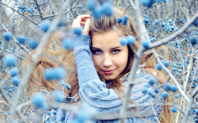 Blueberry field woman ponytail glowing free wallpaper - medium preview image