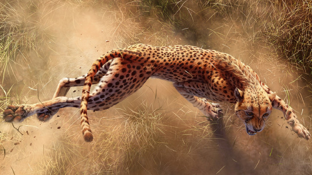 Cheetah running grass dinosaur fireworks free wallpaper - medium preview image