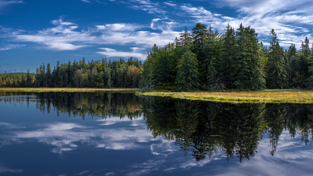 Lake trees grass blue sky #4 free wallpaper - medium preview image