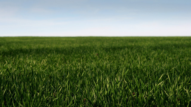 Field blue sky frisbee 3d free wallpaper for desktop - medium preview image