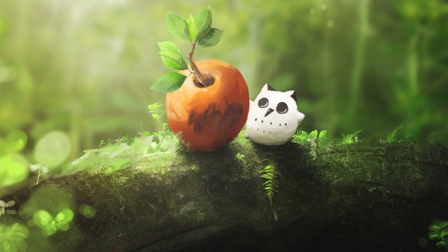 White cat orange apple forest free wallpaper - medium preview image
