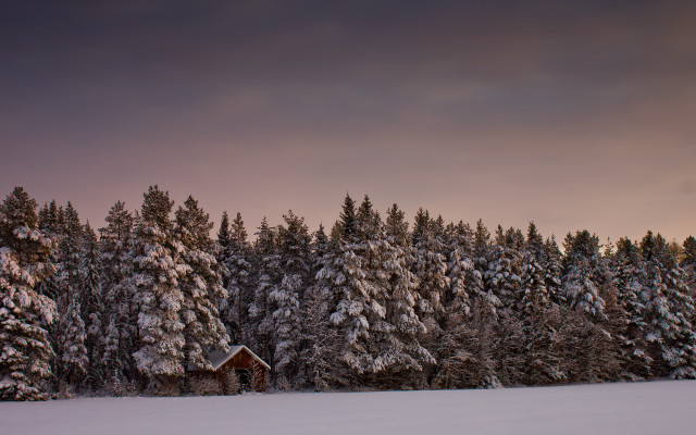 Snowy cabin forest autumn sunset free wallpaper - medium preview image