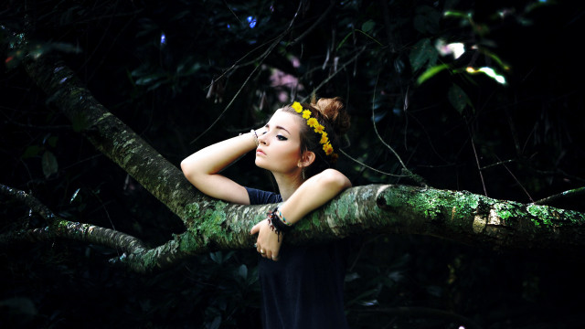 Woman sitting tree branch nature free wallpaper for desktop - medium preview image
