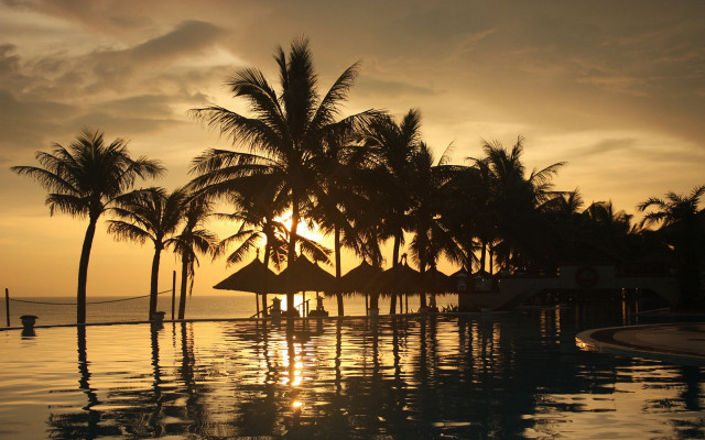 Sunset pool palm trees beach free wallpaper - medium preview image
