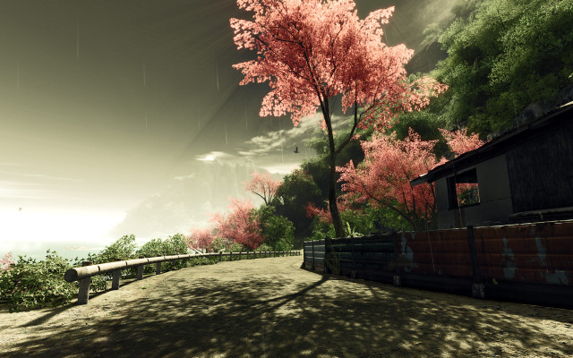 Tree bench fence building cherryblossoms free wallpaper - medium preview image