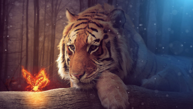 Tiger log snow fireball fantasy free wallpaper - medium preview image