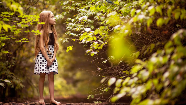 Girl forest sky blowing hair free wallpaper - medium preview image