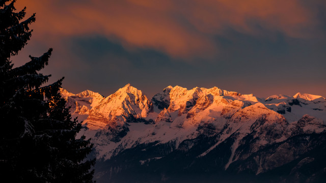 Mountain snow trees sunset dramatic free wallpaper - medium preview image