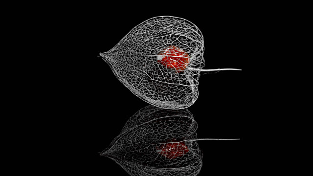 Wire sculpture red heart reflection free wallpaper - medium preview image