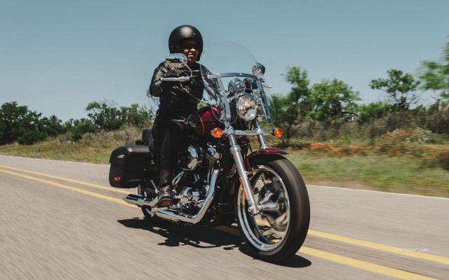 Man motorcycle road forest trees free wallpaper - medium preview image