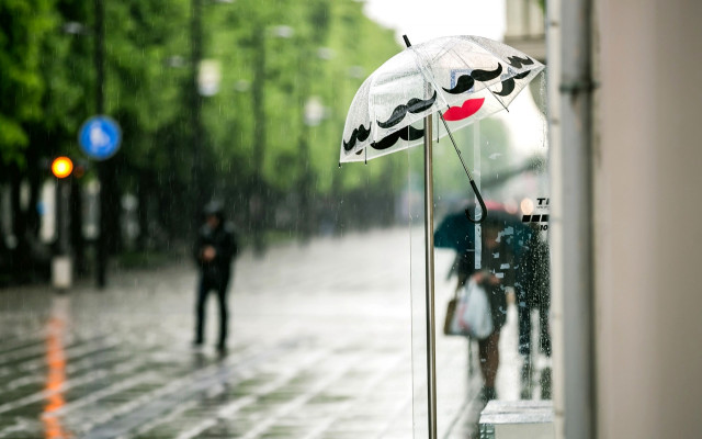 Rainy street umbrella blurry motion free wallpaper - medium preview image