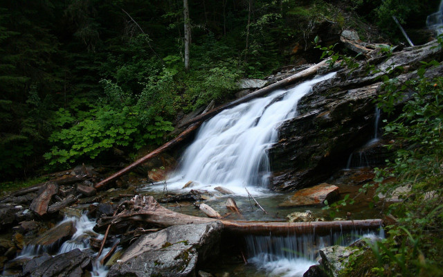 Waterfall forest fallen branch rocks #2 free wallpaper - medium preview image