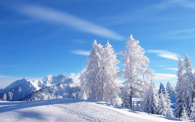 Snowy landscape mountains trees blue free wallpaper - medium preview image
