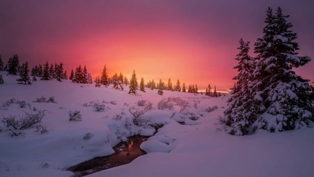 Sunset snowy landscape stream trees free wallpaper - medium preview image