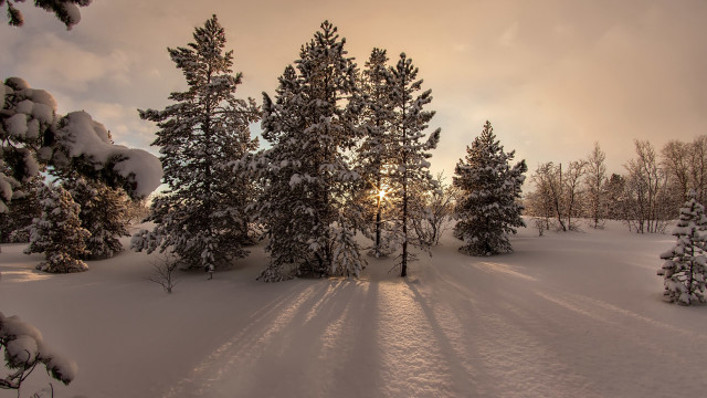 Snowy landscape trees sunset mountain free wallpaper - medium preview image