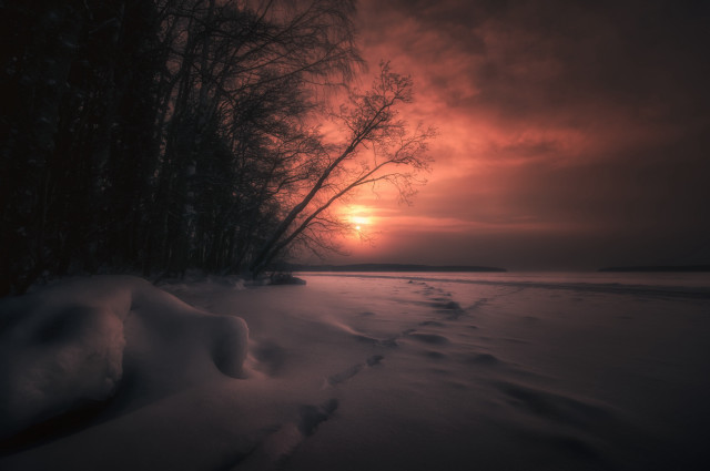 Sunset snowy beach footprints trees free wallpaper - medium preview image