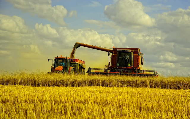 Harvesting wheat combines field cloudy free wallpaper - medium preview image