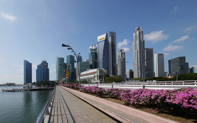City skyline river bridge flower free wallpaper - medium preview image
