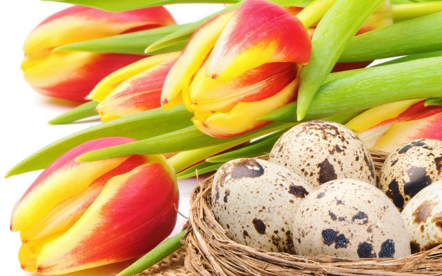 Eggs nest tulips folkart stilllife free wallpaper - medium preview image