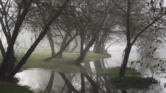 Pond foggy day bench trees free wallpaper - medium preview image