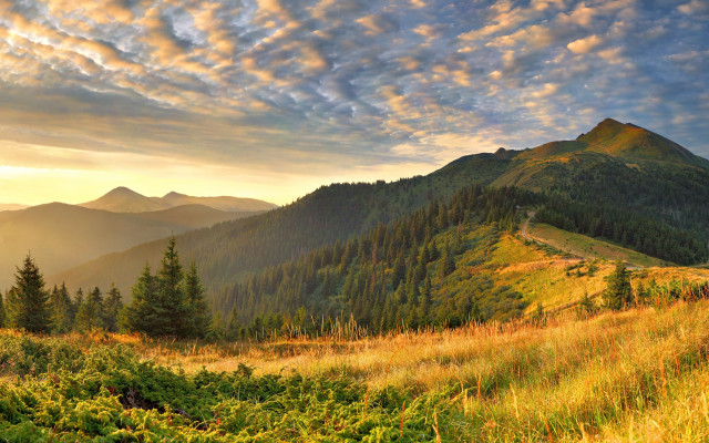 Grassy field mountain cloudy sky #5 free wallpaper - medium preview image