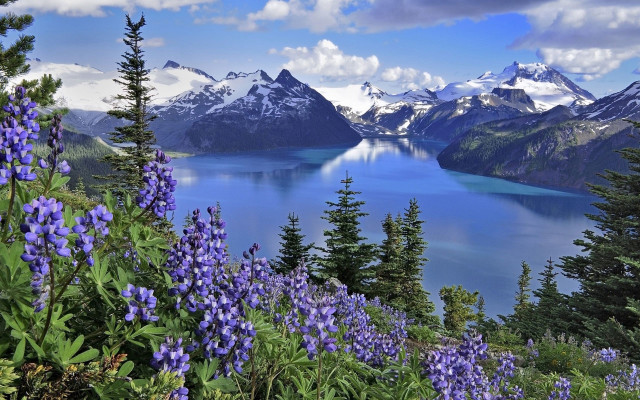 Lake mountains flowers sky clouds #2 free wallpaper for desktop - medium preview image