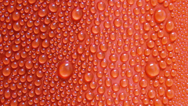 Red wall water drops macro free wallpaper - medium preview image