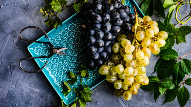 Grapes shears stilllife fauvism food free wallpaper - medium preview image